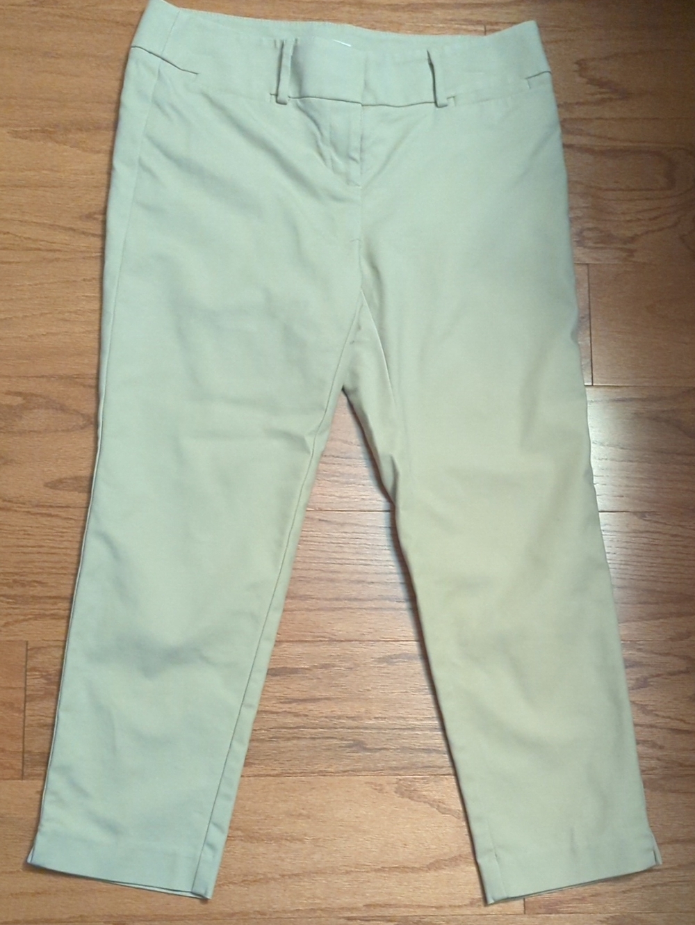 Ann Taylor LOFT Marisa Capris 4
